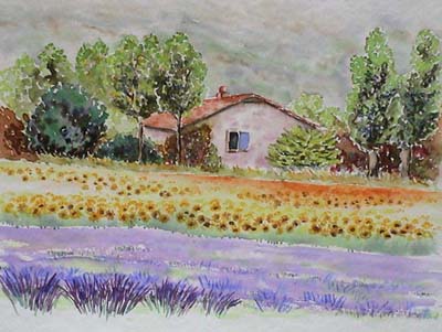 lavandes et tournesols